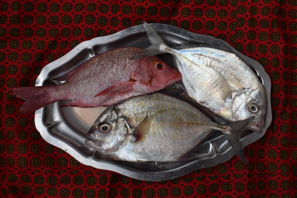 Poissonneries de Mayotte